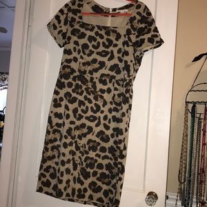 Cheetah Banana Republic dress